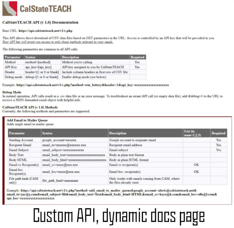 Custom API, dynamic docs
